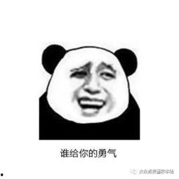 我懵了老板们咋又菜又爱装,业务能力不足与虚伪做派